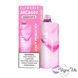 Смак Elf World MC8500 Juice Peach Ice (Соковитий Персик лід)