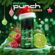 Набор Punch X-MAS Edition Salt Winter Club 30 мл 50 мг/мл